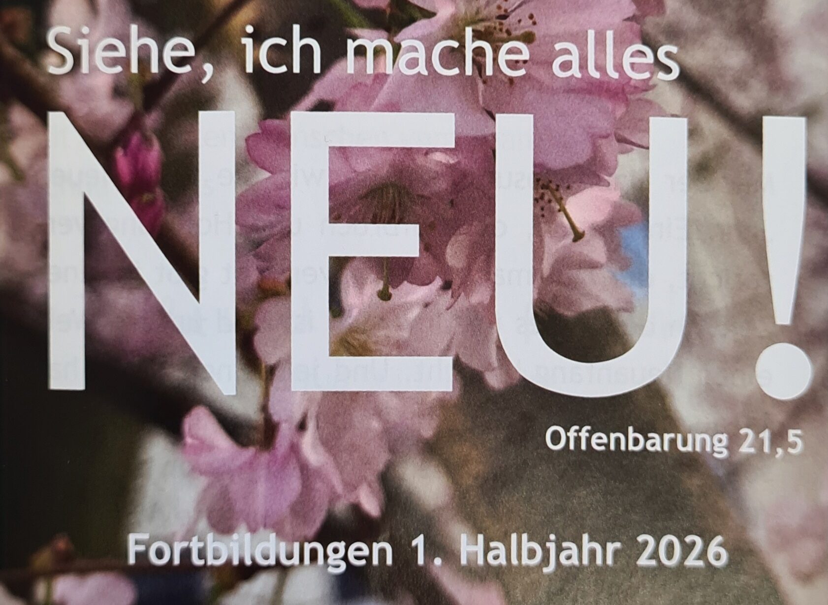 Mehr über den Artikel erfahren Das neue Halbjahresprogramm 1/2026 ist da!